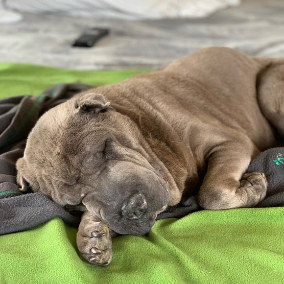 gs27
